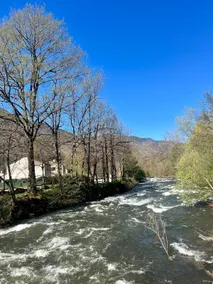 6 Bis La Capelette - Image 4