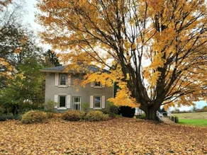 Highland Farm - close to Erin Estate - Image 2