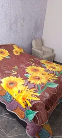Casa en Tetla | 10 min from Apizaco | 20 min from CDART - Image 3