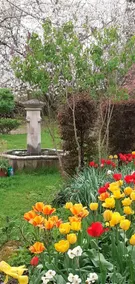 Grandma's little house - Image 4