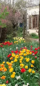 Grandma's little house - Image 2