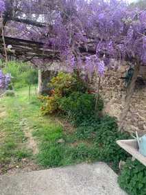 Gîte Les Vignes au Cheylard - Image 2