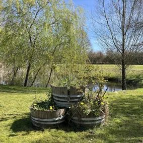 Le Jardin d'Elusa - Gîte le Chai - Image 5