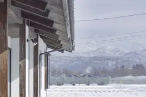 Whole House 14 Guests,Zao Ski&Onsen,Yamagata,ZAO ORCHARD HOUSE - Image 2
