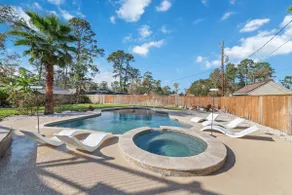 Spring Castle | Private POOL • Near IAH Airport - Image 5