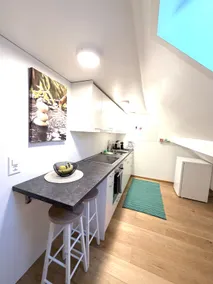 Trewia 9 - Modern Studio Vaduz Center - free Parking - Image 4