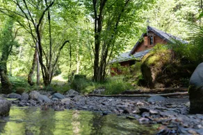 Waterfront cottage, between forest and river - Image 2