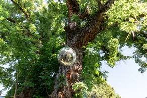 Garden Cottage Retreat - 2 mins from downtown - Image 5