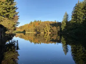 La Vieille Scierie - Image 3