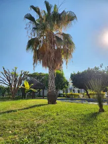 Villa Amaranto, pool, and water games - Image 4