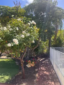 Sandridge Park Estate - Image 2