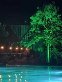 Forest Cabin | Private | Perfect for Couples - Image 2