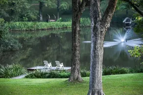 Brandon Hall Plantation - Image 3