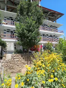 Daisy Homestay maid - Image 4