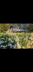 Bluebird Cottage - Image 3