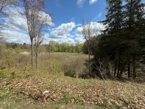 Private secluded Cabin on Tug & Brantingham trails - Image 4