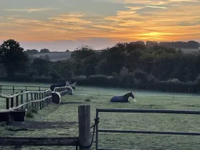 Scotland Lodge Farm, Stonehenge - The Stalls & The Stable Loft - Pets by agreement in the Stable Loft - Image 4