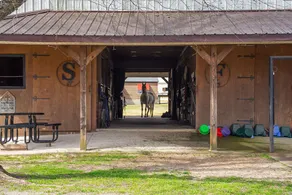 The Bunkhouse located on a horse farm, with pool - Image 4