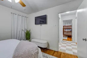 The Southern Nest - Image 4
