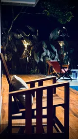 The Roots private pool villa, kalpetta, wayanad - Image 5