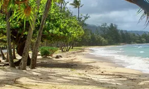 country home in Hauula - Image 2