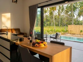 White Haven | Pool • New • Central • Coco View - Image 4