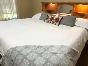 Yankee Basin, pet free home - Image 3