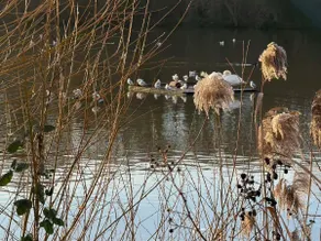 Lakeside Haven - Image 4