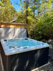 Steller's Jay Suite - 1 Bedroom Suite with Hot Tub - Image 5