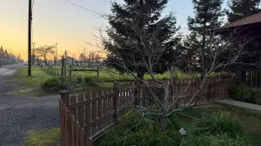 Lodi Wine Cottage | Private Sauna + Orchard Stay - Image 5
