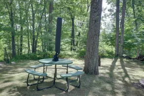 George Lake Views & Access! Family Condo By Trails - Image 2