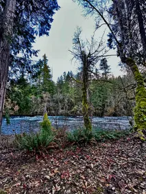 Riverfront Getaway in McKenzie Forest - Image 3