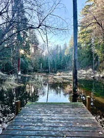 Riverfront Getaway in McKenzie Forest - Image 5