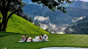 Lake A Lua Chalet - Image 4