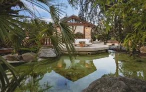 Villa Oasis Madrid - Image 5