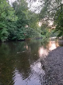 Still Waters · A Riverside Hideaway on the Dart - Image 5