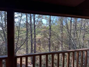 Spacious 3BR Modern Cabin-Walk to Waterpark! - Image 4