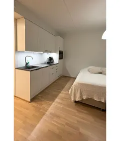 LUXHOMES Studio in Tapiola - Image 5