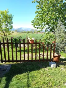 Your quiet space in the countryside - Image 4