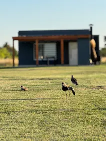 Country Mode | House 2 - Image 4