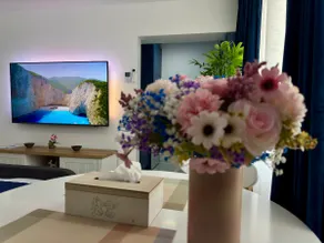 Studio 84 Central - Home Cinema - Confort Premium - Image 3