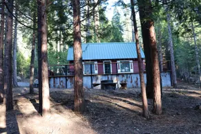 The Little Pine Cabin - Image 2