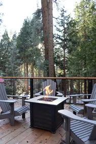 The Little Pine Cabin - Image 2