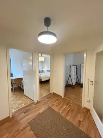Cozy Apartment on Brahmstrasse in Zürich - Image 5