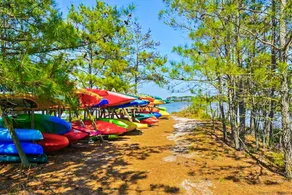 Salt Pond 729 Deer Leap Drive - Image 3