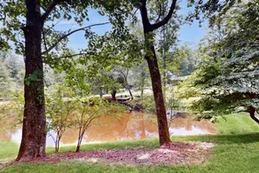 Country Farmhouse, Fireplace, Fishing Pond - Image 4