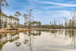 Pond View, Fishing, BBQ, Fireplace, and More - Image 3
