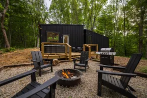 Secluded Forest Retreat | Pet Friendly+2 King Beds - Image 3