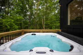Secluded Forest Retreat | Pet Friendly+2 King Beds - Image 2