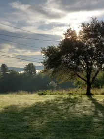 Meadowside Farm - Image 2